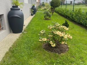 Prodej bytu 4+1, Jirkov, Osvobození, 81 m2