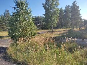 Prodej pozemku pro bydlení, Ralsko, 1000 m2