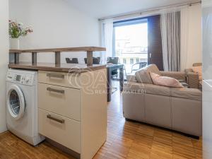 Prodej bytu 2+kk, Praha - Žižkov, Prokopova, 45 m2