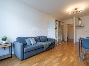 Prodej bytu 1+kk, Praha - Žižkov, Havlíčkovo náměstí, 31 m2