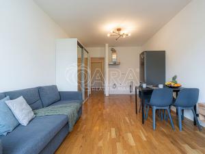 Prodej bytu 1+kk, Praha - Žižkov, Havlíčkovo náměstí, 31 m2