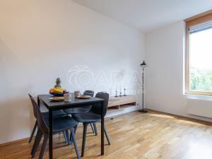 Prodej bytu 1+kk, Praha - Žižkov, Havlíčkovo náměstí, 31 m2
