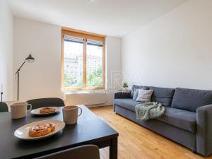 Prodej bytu 1+kk, Praha - Žižkov, Havlíčkovo náměstí, 31 m2