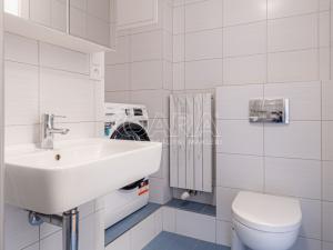 Prodej bytu 1+kk, Praha - Žižkov, Havlíčkovo náměstí, 31 m2