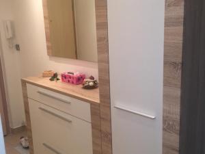 Pronájem bytu 2+1, Frýdek-Místek - Místek, J. Opletala, 58 m2