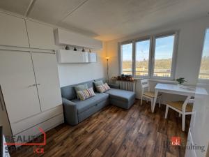 Prodej bytu 1+1, Cheb, Přátelství, 37 m2