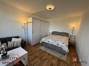 Prodej bytu 1+1, Cheb, Přátelství, 37 m2