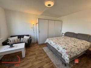 Prodej bytu 1+1, Cheb, Přátelství, 37 m2