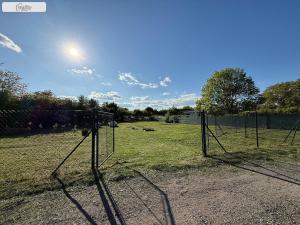 Pronájem zahrady, Nymburk, Dvorská, 1451 m2