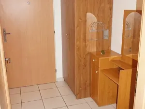 Pronájem bytu 1+kk, Brno, Trýbova, 35 m2
