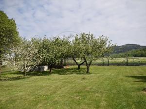 Pronájem bytu 2+1, Lipová-lázně, 48 m2
