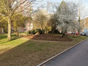Prodej bytu 1+kk, Plzeň, Sokolovská, 36 m2