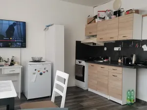 Prodej bytu 1+kk, Plzeň, Sokolovská, 36 m2