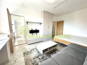 Pronájem bytu 1+1, Fryšták, Holešovská, 28 m2