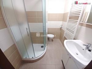 Pronájem bytu 1+1, Jílové - Kamenná, Mládeže, 35 m2