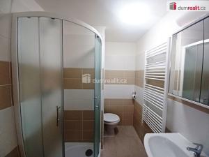 Pronájem bytu 1+1, Jílové - Kamenná, Mládeže, 35 m2