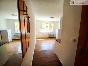 Pronájem bytu 1+1, Jílové - Kamenná, Mládeže, 35 m2