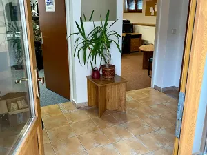 Prodej obchodního prostoru, Čečelice, Všetatská, 1000 m2
