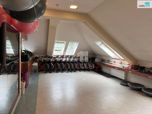 Pronájem obchodního prostoru, Karlovy Vary - Dvory, Chebská, 223 m2