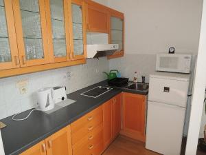 Pronájem bytu 2+kk, Praha - Staré Město, Národní, 55 m2