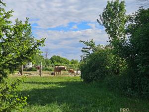 Prodej pozemku pro bydlení, Ořech, Dlouhá, 1142 m2