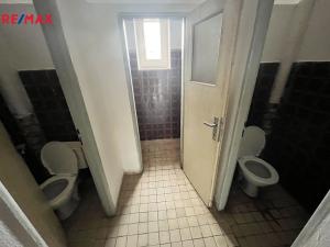 Pronájem výrobních prostor, Pelhřimov, Hodějovická, 206 m2