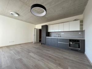 Pronájem bytu 1+kk, České Budějovice, O. Nedbala, 39 m2