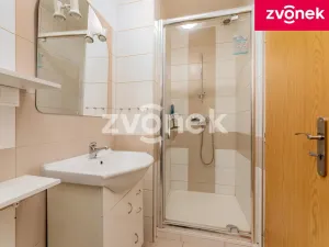 Prodej rodinného domu, Velké Karlovice, 250 m2