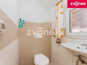 Prodej rodinného domu, Velké Karlovice, 250 m2