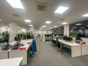 Pronájem kanceláře, Brno, Vídeňská, 300 m2