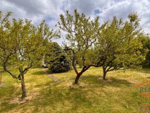 Prodej chaty, Hradec Králové, Zahrádkářská osada U Labe, 28 m2