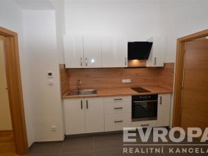 Pronájem bytu 1+1, Praha - Žižkov, Seifertova, 38 m2