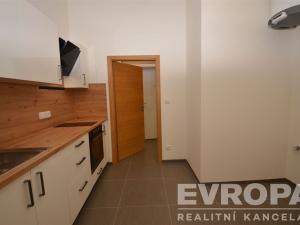 Pronájem bytu 1+1, Praha - Žižkov, Seifertova, 38 m2