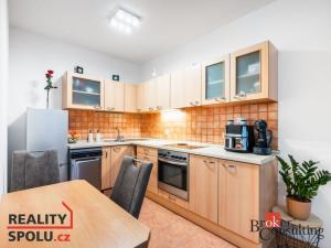Pronájem bytu 1+kk, Brno - Líšeň, Holzova, 40 m2