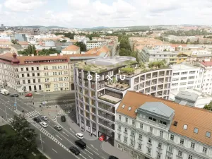 Pronájem obchodního prostoru, Brno, Milady Horákové, 300 m2