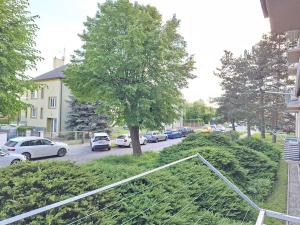 Pronájem bytu 3+1, Olomouc, Petelinova, 68 m2