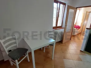 Pronájem bytu 1+kk, Olomouc, Panská, 25 m2