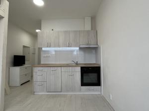 Pronájem bytu 1+kk, Ostrava, 28. října, 27 m2