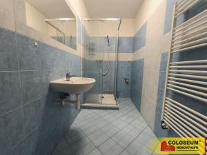 Pronájem bytu 1+1, Boskovice, 46 m2
