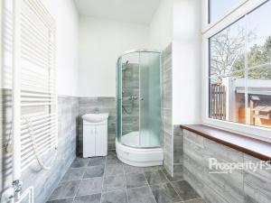 Prodej bytu 1+1, Děčín - Děčín III-Staré Město, Březová, 42 m2
