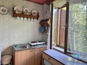 Prodej chaty, Pňovany, 50 m2