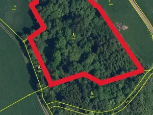 Prodej rodinného domu, Lomnice nad Popelkou, Stružinecká, 777 m2