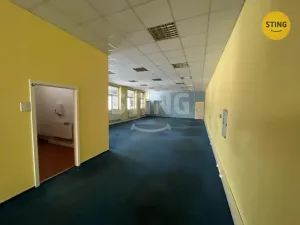 Pronájem skladu, Ostrava, Na Najmanské, 342 m2