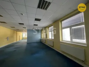 Pronájem skladu, Ostrava, Na Najmanské, 342 m2