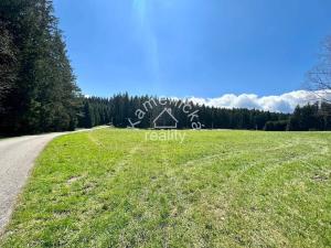 Prodej pozemku pro bydlení, Černá v Pošumaví, 3027 m2