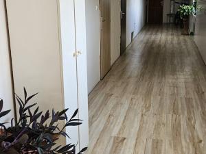 Pronájem bytu 1+kk, Olomouc, Teichmannova, 18 m2