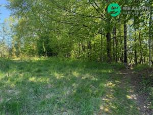 Prodej zahrady, Oldřichov v Hájích, Oldřichov v Hájích, 3640 m2