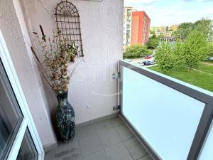 Prodej bytu 3+1, Ostrava - Dubina, Jaroslava Misky, 73 m2