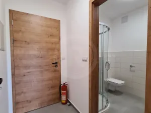 Pronájem bytu 1+kk, Srubec, Do Mladého, 21 m2