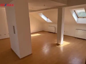 Prodej rodinného domu, Třebíč - Jejkov, Smila Osovského, 250 m2